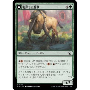 画像: 【日本語版】結束した群獣/板金鎧の窯獣/Bonded Herdbeast/Plated Kilnbeast