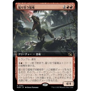 画像: 【Foil】【拡張枠】【日本語版】猛り狂う猛竜/Rampaging Raptor