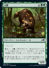 画像: 【日本語版】大狸/Greater Tanuki