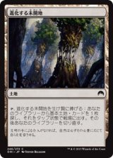 画像: 【日本語版】進化する未開地/Evolving Wilds