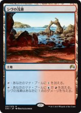 画像: 【日本語版】シヴの浅瀬/Shivan Reef