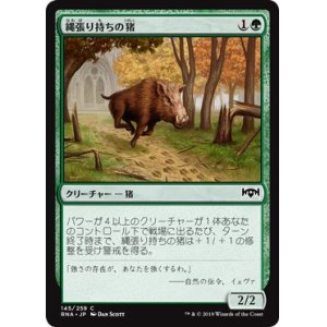 画像: 【日本語版】縄張り持ちの猪/Territorial Boar