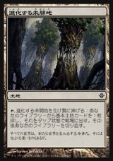 画像: 【日本語版】進化する未開地/Evolving Wilds