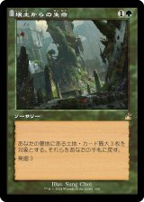 画像: 【Foil】【旧枠】【日本語版】壌土からの生命/Life from the Loam