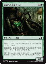 画像: 【日本語版】巣網から見張るもの/Watcher in the Web