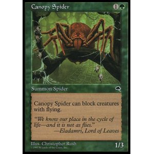 画像: 【日本語版】梢の蜘蛛/Canopy Spider