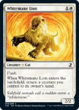 画像: 『英語版』白たてがみのライオン/Whitemane Lion