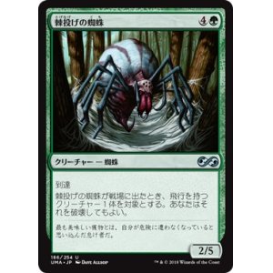 画像: 【日本語版】棘投げの蜘蛛/Stingerfling Spider