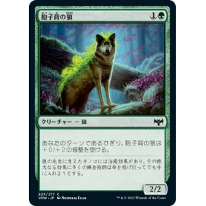 画像: 【日本語版】胞子背の狼/Sporeback Wolf