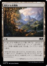 画像: 【日本語版】進化する未開地/Evolving Wilds