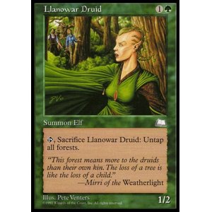 画像: 『英語版』ラノワールのドルイド/Llanowar Druid