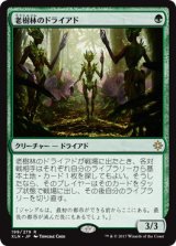 画像: 【日本語版】老樹林のドライアド/Old-Growth Dryads