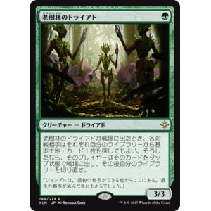 画像: 【日本語版】老樹林のドライアド/Old-Growth Dryads