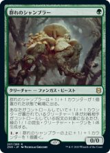 画像: 【日本語版】群れのシャンブラー/Swarm Shambler