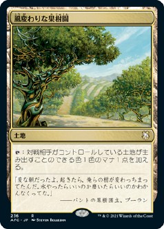 画像1: 【日本語版】風変わりな果樹園/Exotic Orchard (1)