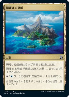 画像1: 【日本語版】興隆する島嶼/Thriving Isle (1)