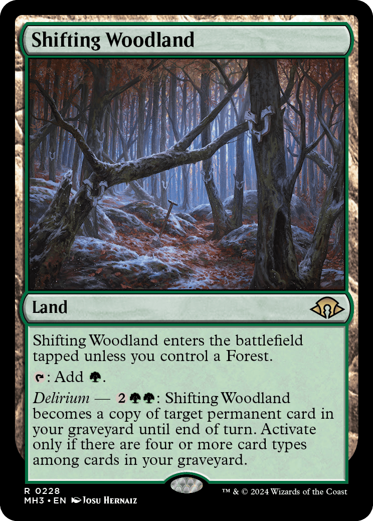 画像1: 『英語版』変容する森林/Shifting Woodland (1)