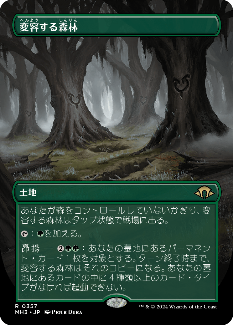 画像1: 【ボーダーレス】【日本語版】変容する森林/Shifting Woodland (1)